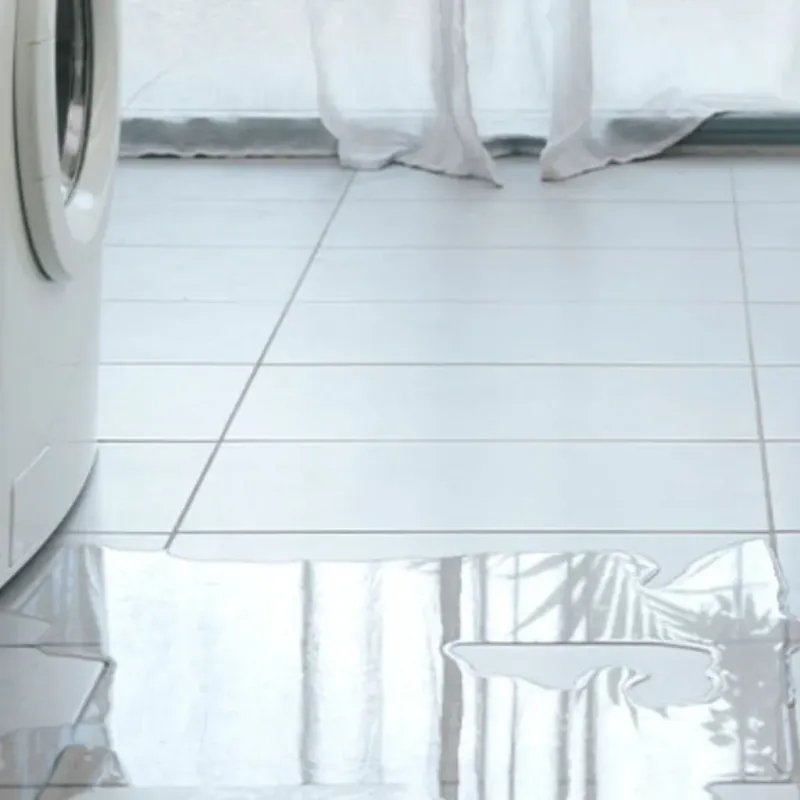 Appliance Leak Cleanup in Benton Harbor, MI