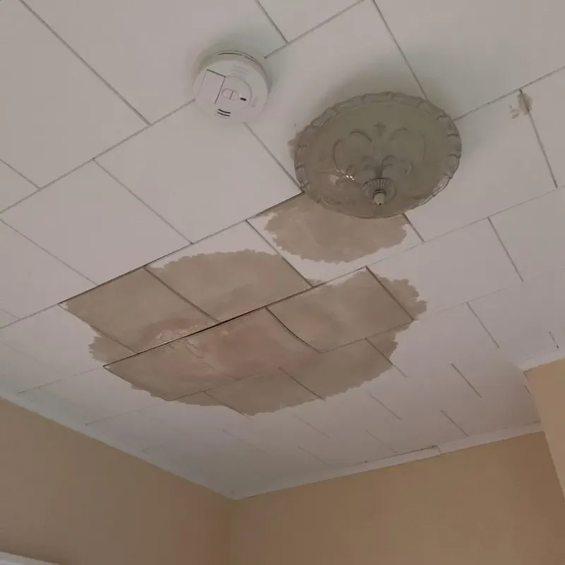 Ceiling Water Damage Repair in Benton Harbor, MI