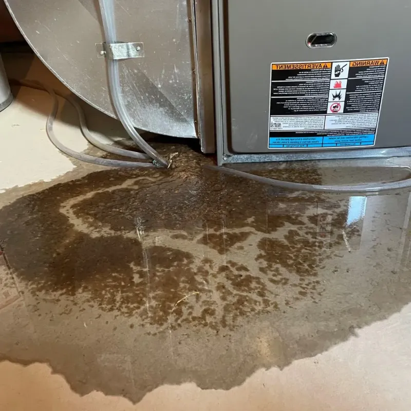 Pipe Burst and Leak Restoration in Benton Harbor, MI