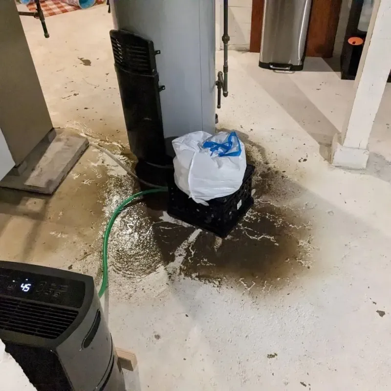 Sewage Backup Cleanup Service in Benton Harbor, MI